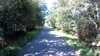 20190716-101155A-frame0016.jpg
