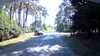 20190716-153142A-frame0002.jpg