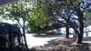 20190716-153142A-frame0011.jpg