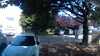 20190717-093242A-frame0002.jpg