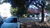 20190717-093242A-frame0009.jpg