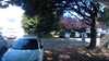20190717-093242A-frame0010.jpg