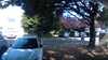 20190717-093242A-frame0015.jpg