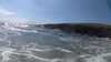 20190717-154921A-frame0005.jpg