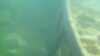 20190719-00041-frame0014.jpg