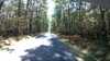 20190915-145026A-frame0004.jpg