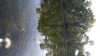 2019-09-18:River Souillac

