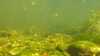 20190918-00001-frame0001.jpg