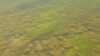 2019-09-19:Souillac-Carsac-Aillac
