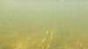 2019-09-23:Le Bugue
