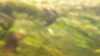 20190923-00012-frame0005.jpg