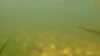 20190923-00012-frame0006.jpg