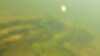 20190923-00012-frame0007.jpg