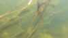 20190923-00014-frame0001.jpg
