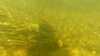 20190923-00015-frame0003.jpg