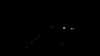 20190928-f57409664-frame0002.jpg