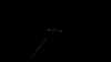 20190928-f61661568-frame0003.jpg