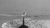 2020-07-16:Silent Death
