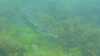 20200801-00000-frame0002.jpg