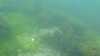 20200801-00000-frame0003.jpg