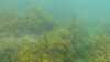 20200801-00000-frame0004.jpg