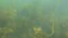 2020-08-02:Cancale
