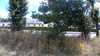 20200803-135212A-frame0002.jpg