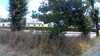 20200803-135212A-frame0003.jpg