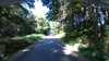 20200804-095408A-frame0004.jpg