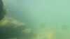 20200806-00012-frame0002.jpg