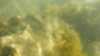 20200806-00013-frame0004.jpg