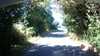 20200806-143442A-frame0001.jpg