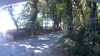 20200806-154942A-frame0001.jpg