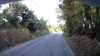 20200807-071001A-frame0002.jpg