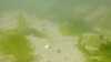20200810-00018-frame0001.jpg