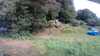 20200810-101547A-frame0002.jpg