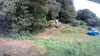 20200810-101547A-frame0003.jpg