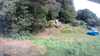 20200810-101547A-frame0004.jpg