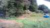 20200810-101547A-frame0005.jpg