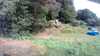 20200810-102047A-frame0001.jpg