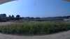 20200810-130812A-frame0004.jpg