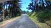 20200810-131312A-frame0003.jpg