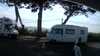 20200811-155324A-frame0002.jpg