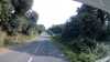 20200811-160824A-frame0003.jpg