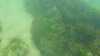 20200813-00026-frame0001.jpg