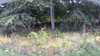 20200905-094857A-frame0004.jpg