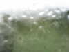 2020-09-07:JohnOGroats-Aultiphurst-rear
