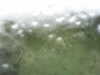 20200907-MOVI0000-frame0002.jpg