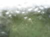 20200907-MOVI0000-frame0004.jpg