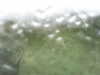 20200907-MOVI0001-frame0001.jpg